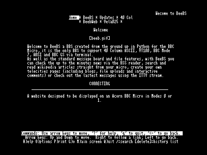 Mode 8 ANSI Lynx browsing Beebs Website